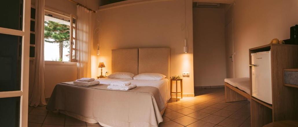 Villa Kastri Apartments Vasilikí Extérieur photo
