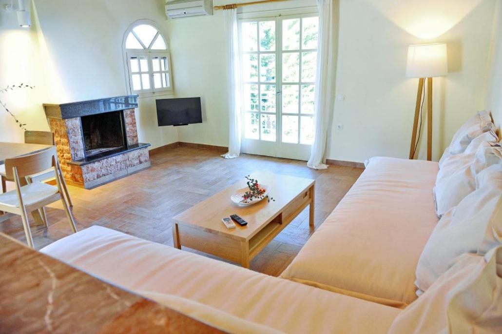 Villa Kastri Apartments Vasilikí Extérieur photo