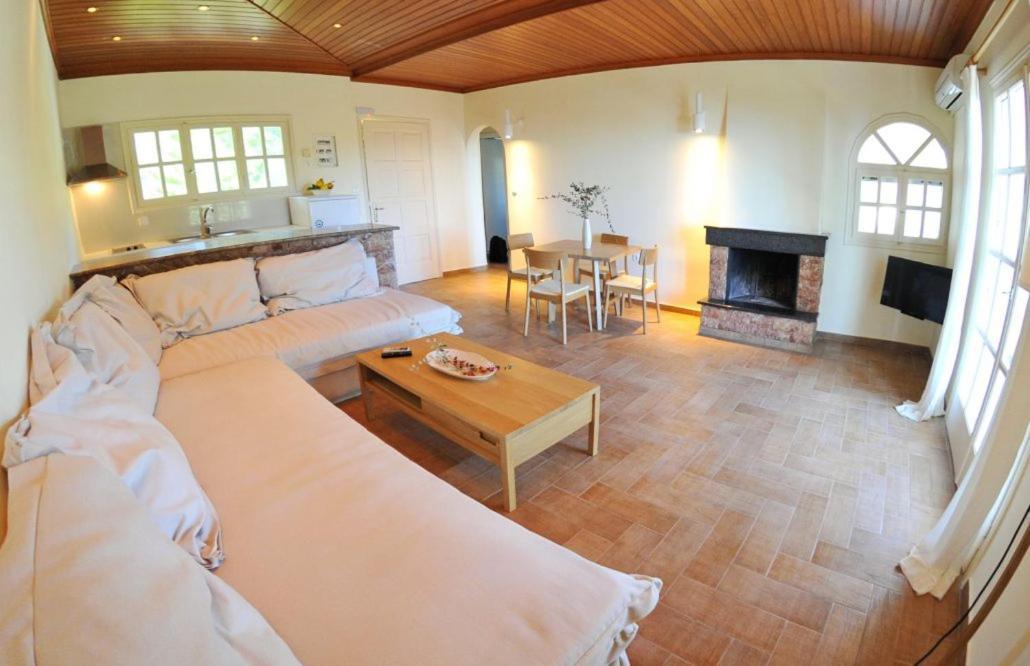 Villa Kastri Apartments Vasilikí Extérieur photo