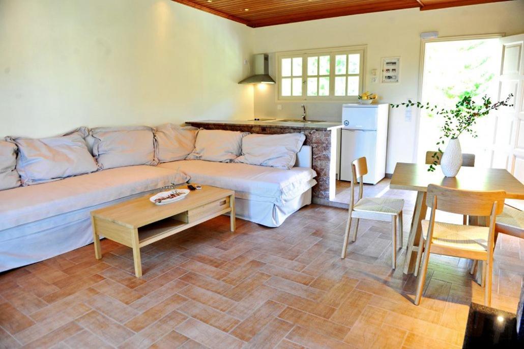 Villa Kastri Apartments Vasilikí Extérieur photo