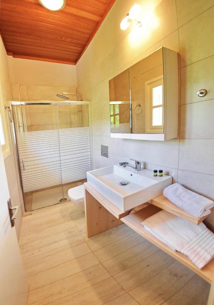 Villa Kastri Apartments Vasilikí Extérieur photo
